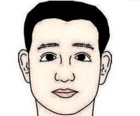 四、头尖：阴暗心理状态与捷径思维