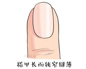 二、  长方形状的指甲：沉稳气度与事业大器的体现