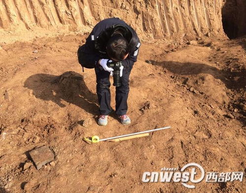 3. 挖掘行为与能量扰动