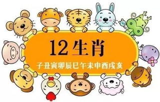 2.2 属龙者：主动养生策略带来之活力充沛晚年生活模式
