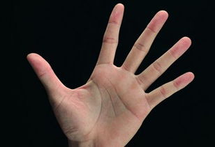 六、 动态监测与健康管理的实践意义