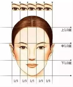 发际线密集与福祉潜能
