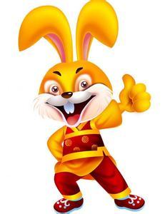 属兔公司名字改写为长尾：有没有好名字推荐给属兔人的公司？