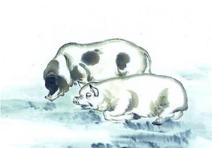 1995年属猪山头火命五行中缺什么，这究竟意味着什么？