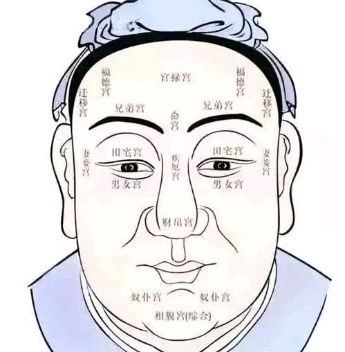 四、  批判性反思：面相决定论与主观能动性的博弈