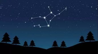 哪个星座常形单影只，独享孤独，却乐在其中，一个人的狂欢是怎样的体验呢？