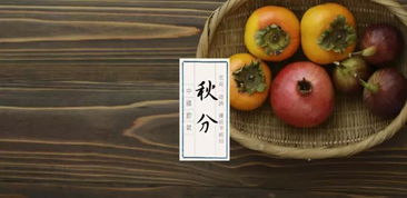 1．探究范围与对象概述