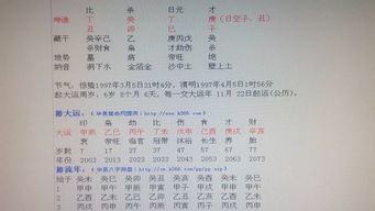 晚上8点出生的女孩，西字八字属什么命运，五行属什么？