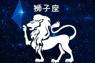 双子座男性群体：智慧更多元交流模式构建
