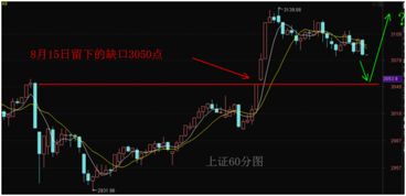 1.3 五行六运理论对腰部特征之映射
