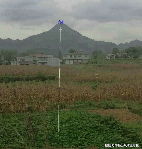 如何识别风水宝地中的龙脉？