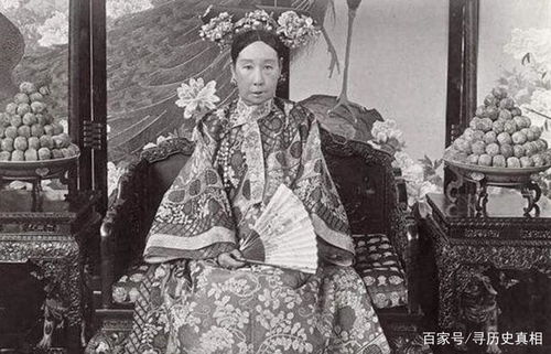 基本背景与身份定位