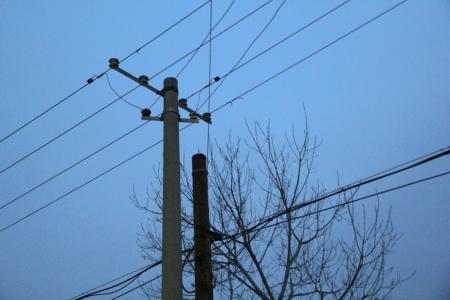 门前种柳树对风水有好处吗？