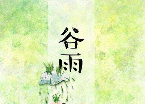 谷雨出生的男孩命运如何，有什么忒别的预示吗？