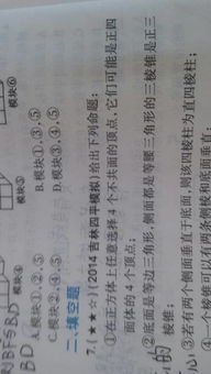 实例解析：属狗者东南坐向之命局