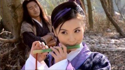 B．从家族谱系到社会周边环境角色的更多维解读