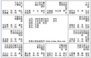 三、 综合评述及实践提议