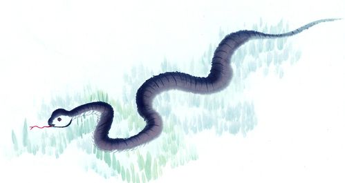 事业开挂，走上人生巅峰