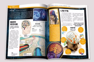 特色凸显的重要性