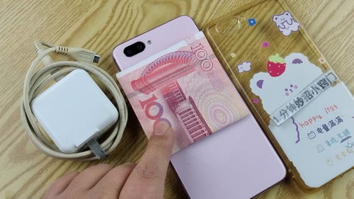 ：当代社会文化语境下的“手机壳藏钱”现象及其象征意涵