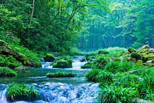 鹤峰这地方到底是个啥情况？初印象简直炸裂