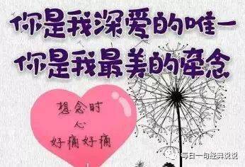 1.2 插入语与评价性连词的运用