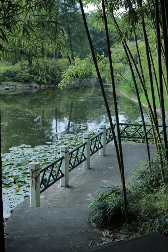 灵隐寺的“门票密码”：先过飞来峰，  再进灵隐寺
