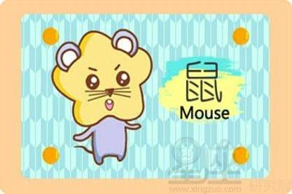 2008年出生属鼠女性在2026年的学业运势具体如何？