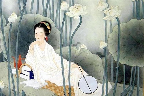 “石抹灵秀”——那份难以言喻的清冷