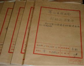 Meng Jiao 案例分析——从个人悲剧到符号化解读