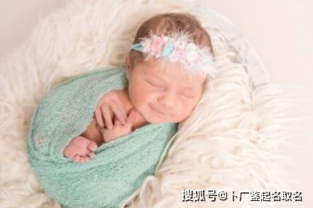 水木属性？整就完事了！