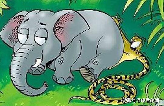 为什么人心不足蛇吞象，难道不是音位贪得无厌的生肖？