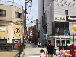 街门口两侧放置什么风水物品可以改善逆街水风水？