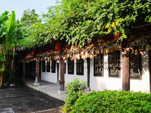 贾谊故居的宁静是不存在的