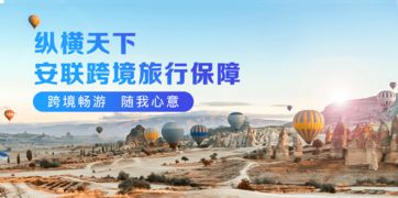 公司背景：随便编点啥