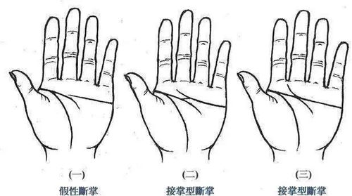 女性手相断掌图解代表什么含义？断掌纹对女人有什么特殊讲究？