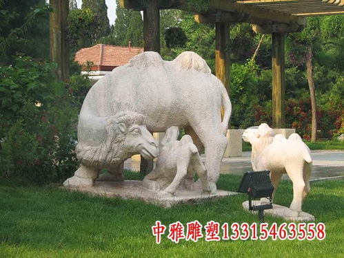 1. 骆驼公园（综合休闲娱乐中心）