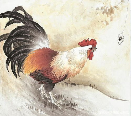 1981年属鸡人2026年下半年运势如何？