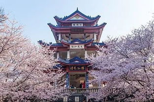 震惊！鼋头渚门票惊天大秘密！看完后我哭了三天三夜！