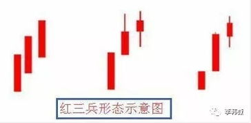 臀部形态与综合资本的储备