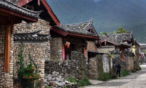 研究背景与总体概述