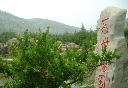 小心这些坑！（血泪教训！）