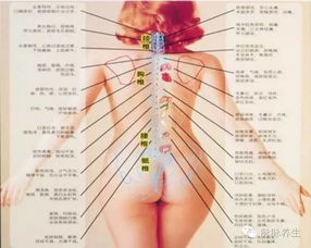 女性背部八字纹路和痣分布如何影响命运？