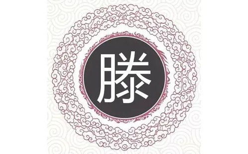 单字名的争议：简洁还是粗糙？