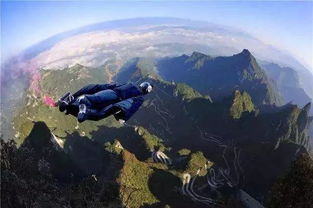 一、 中华生肖体系中具备“翱翔”意象之属相