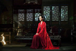 三、  实证案例的深度解读：以“小丽”为例