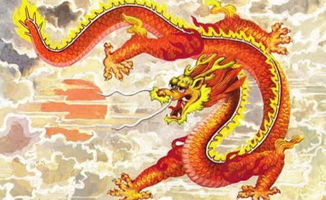 属龙人哪个月出生的运势最不佳，命运最为坎坷？