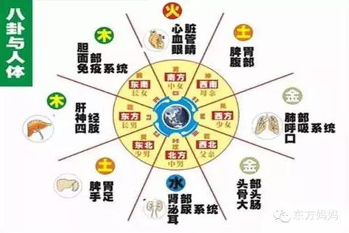 ：传统八卦与现代健康预测的交叉探讨