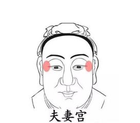 一、  头部与颈部比例失调：生命支撑力的脆弱性