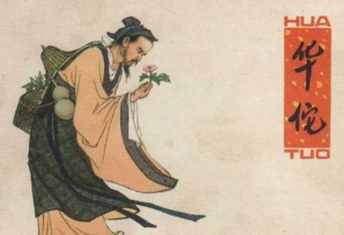 自幼受尽苦楚的命是何种命运？出自谁之手，何地何诗提及自幼曾攻经史？